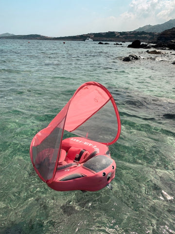 Image of Baby Swim Ring Float With Canopy